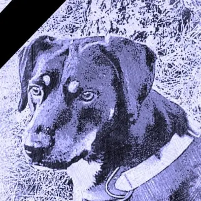 Dido