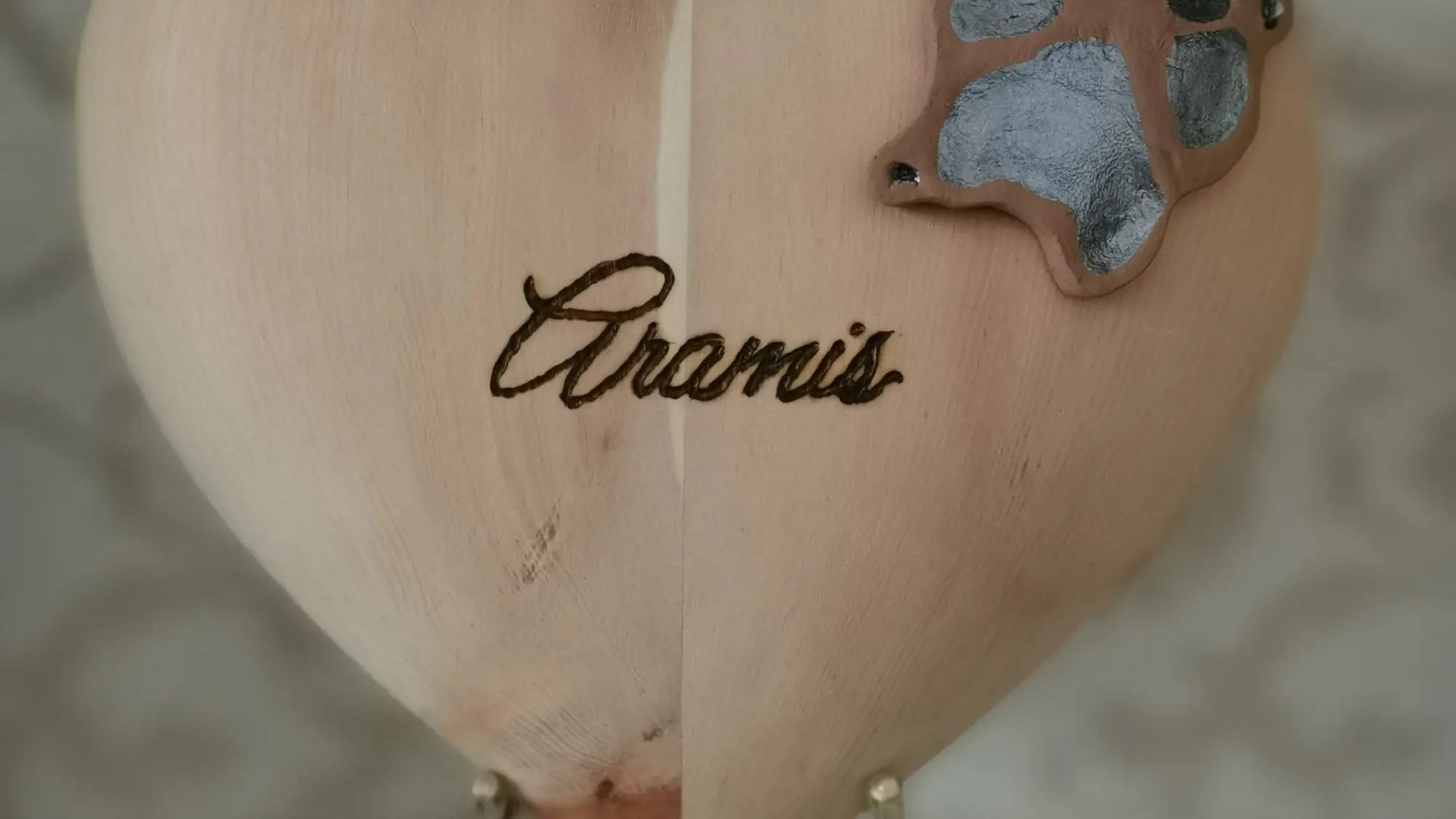 Branding Aramis