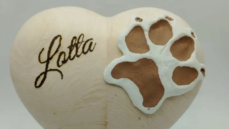 Branding Lotta