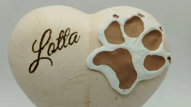 Branding Lotta