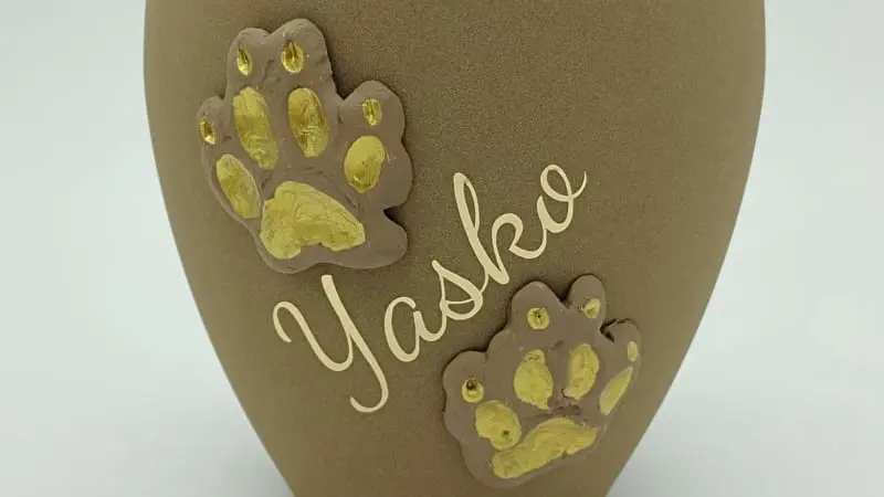 Pfotenabdruck Yasko