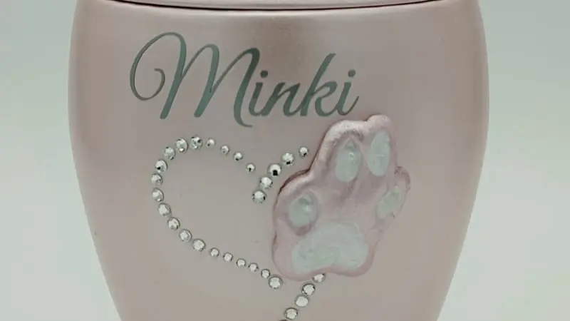 Pfotenabdruck Minki