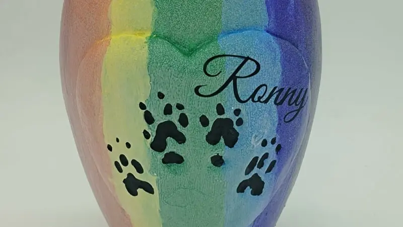 Sonderlackierung Regenbogen