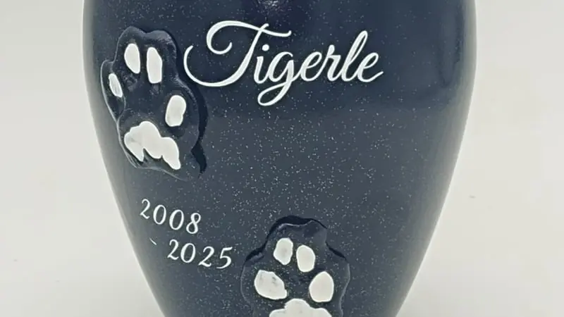 Pfotenabdruck Tigerle