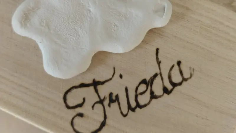 Branding Frida